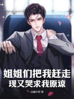 主角是林安的